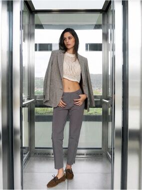 NWT RAFFAELLO ROSSI Maxima Gray Cropped Tailored Pants | Size 40 / US Large
